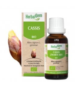 Cassis (Ribes nigrum) Bourgeon BIO, 15 ml